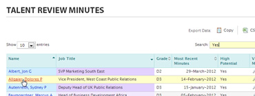 Cross section of Development Experiences Blueprint™ - Talent Review Minutes screenshot